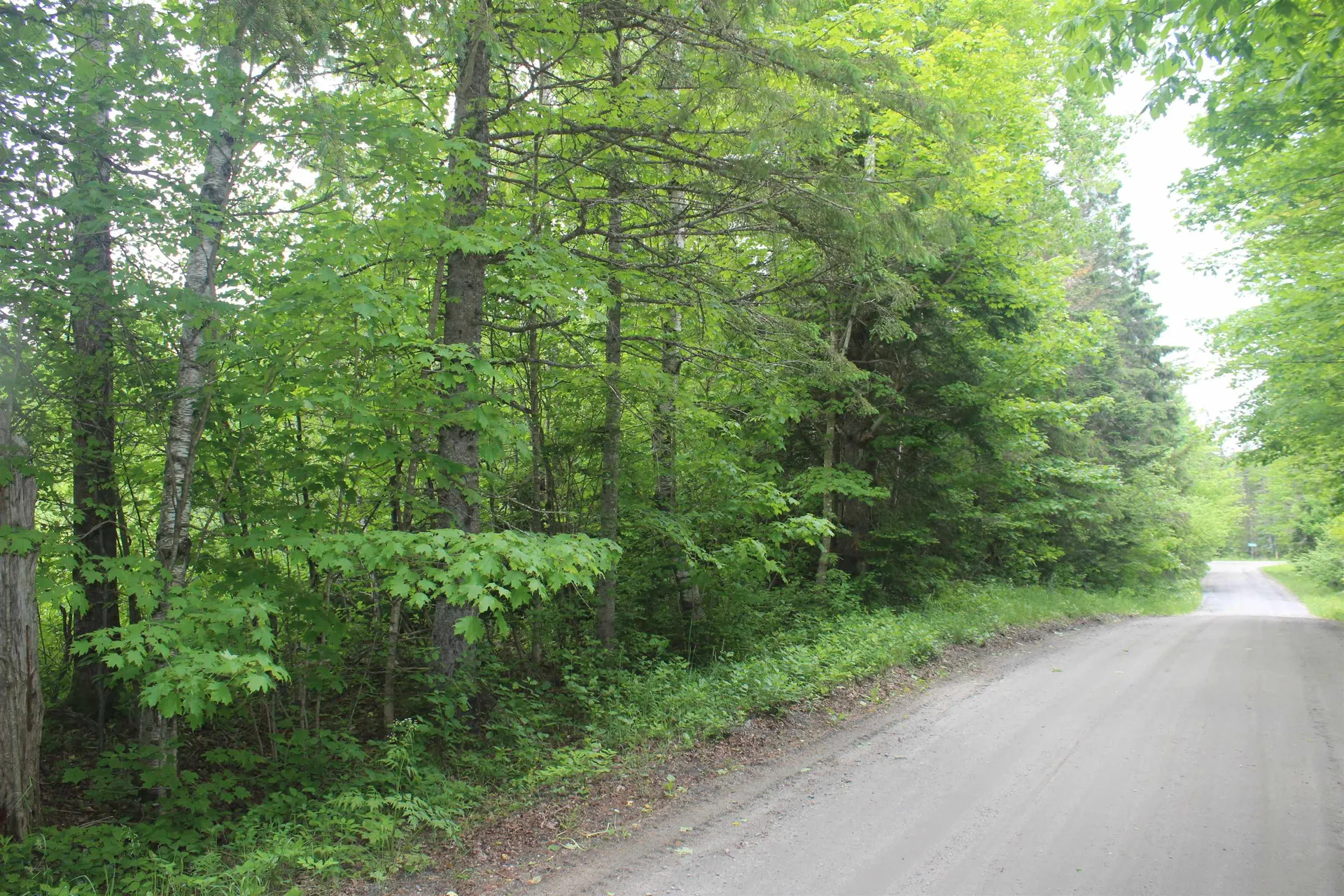 0 Cobb Road Walden VT 05873