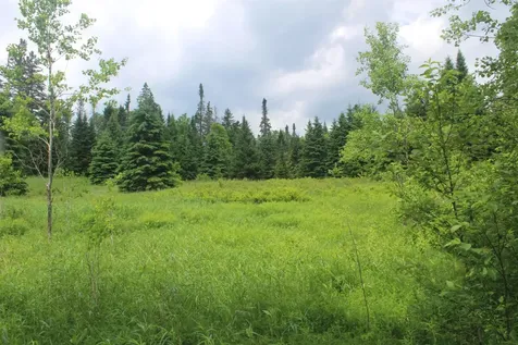 0 Cobb Road Walden VT 05873