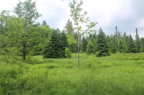 0 Cobb Road Walden VT 05873