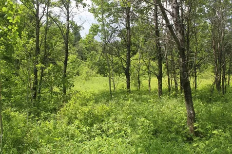 0 Cobb Road Walden VT 05873