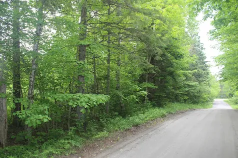 0 Cobb Road Walden VT 05873