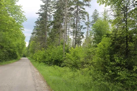 0 Cobb Road Walden VT 05873