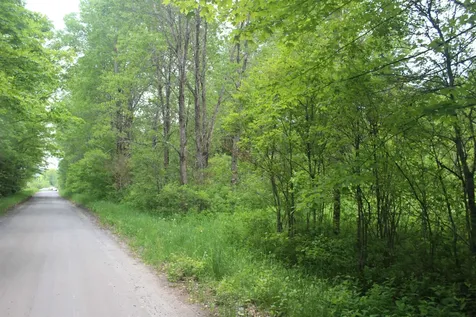 0 Cobb Road Walden VT 05873