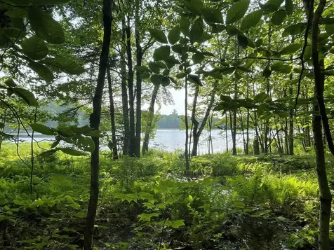 0 Off N.hidden Lake Road Stoddard NH 03464