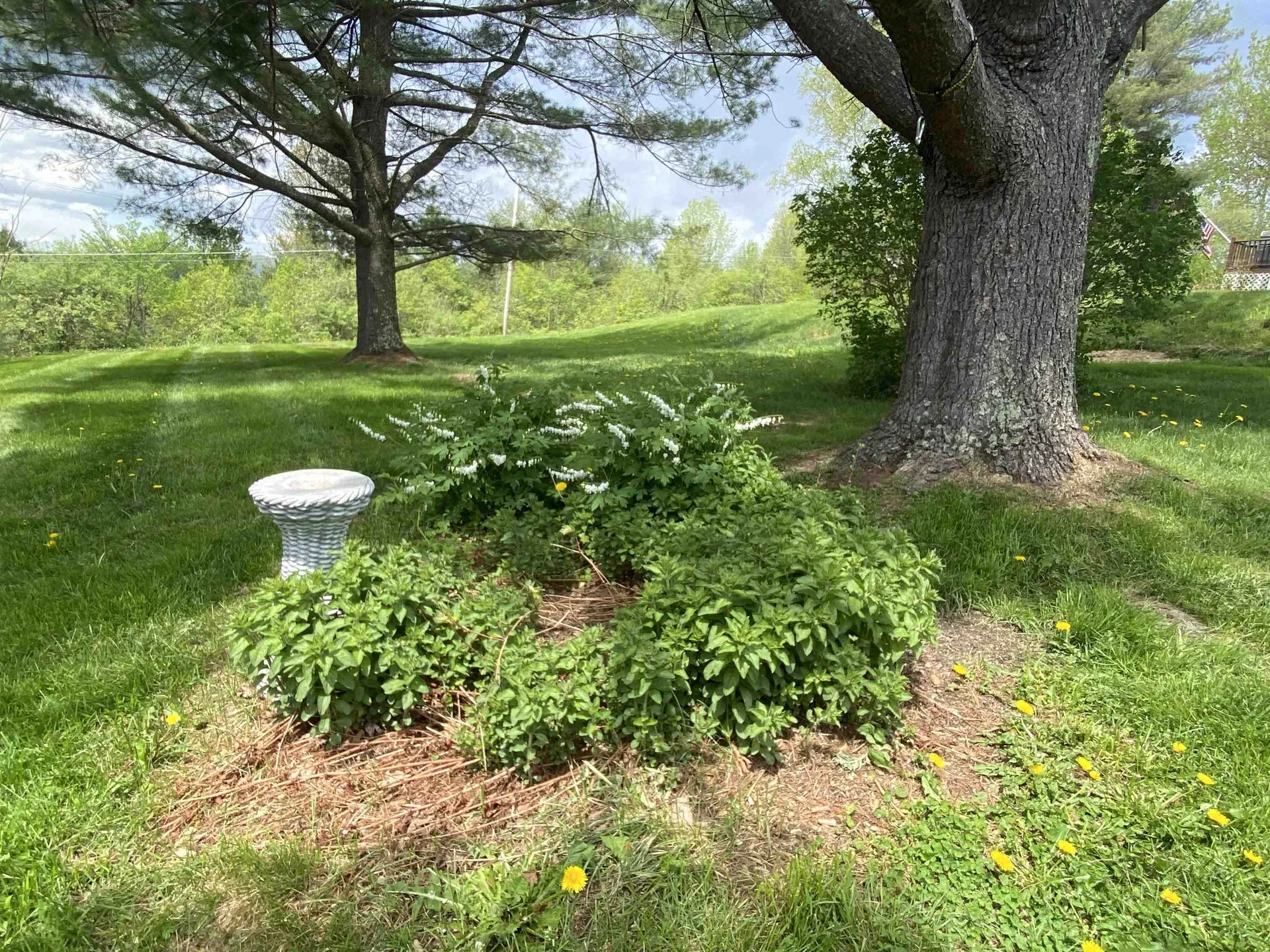 54 Shaw Mansion Road Waterbury VT 05677