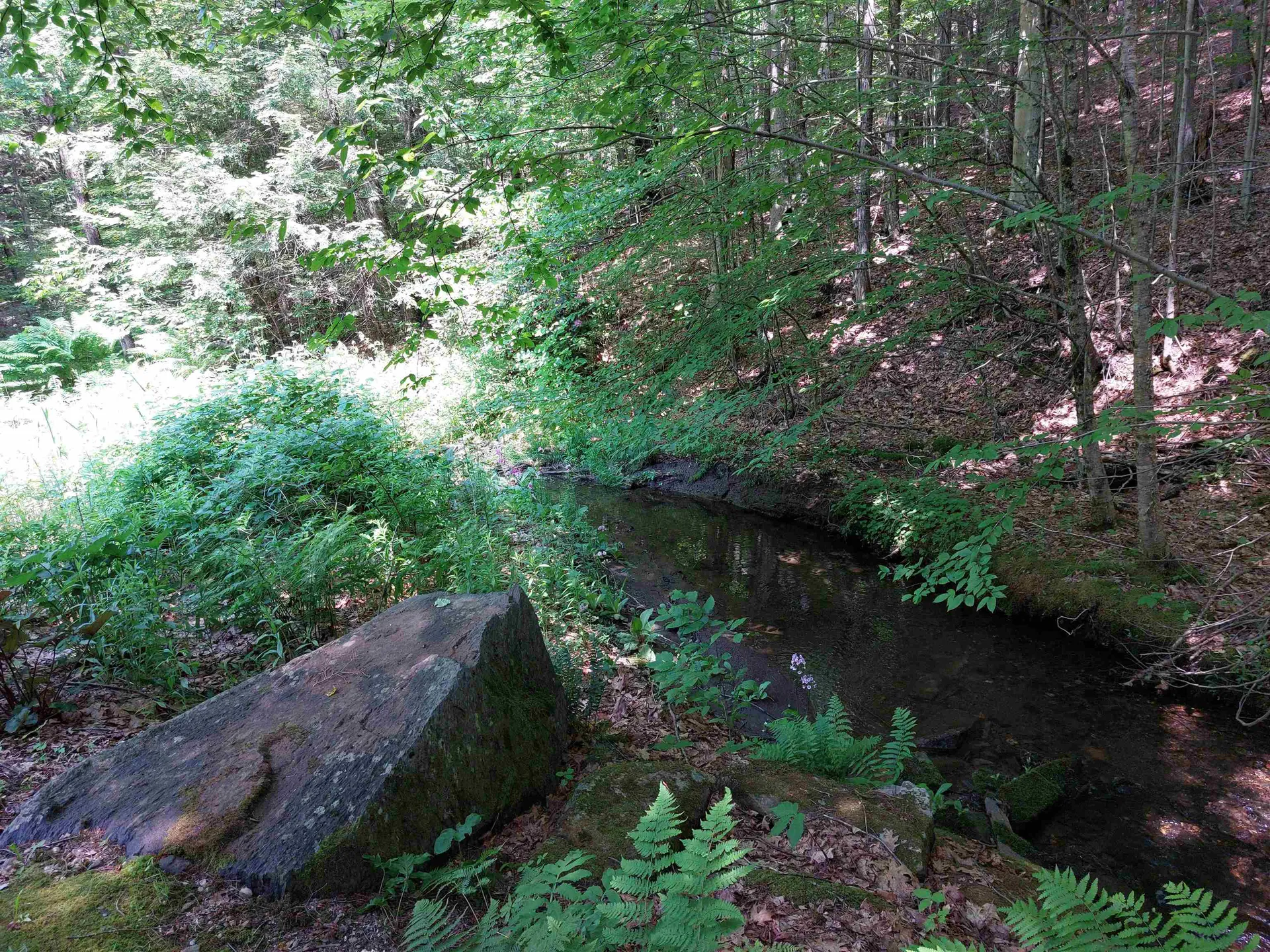 194 Paine Road Westmoreland NH 03467