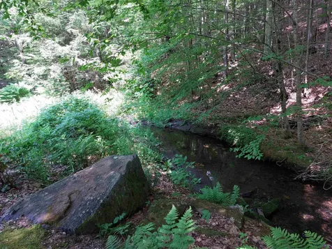 194 Paine Road Westmoreland NH 03467