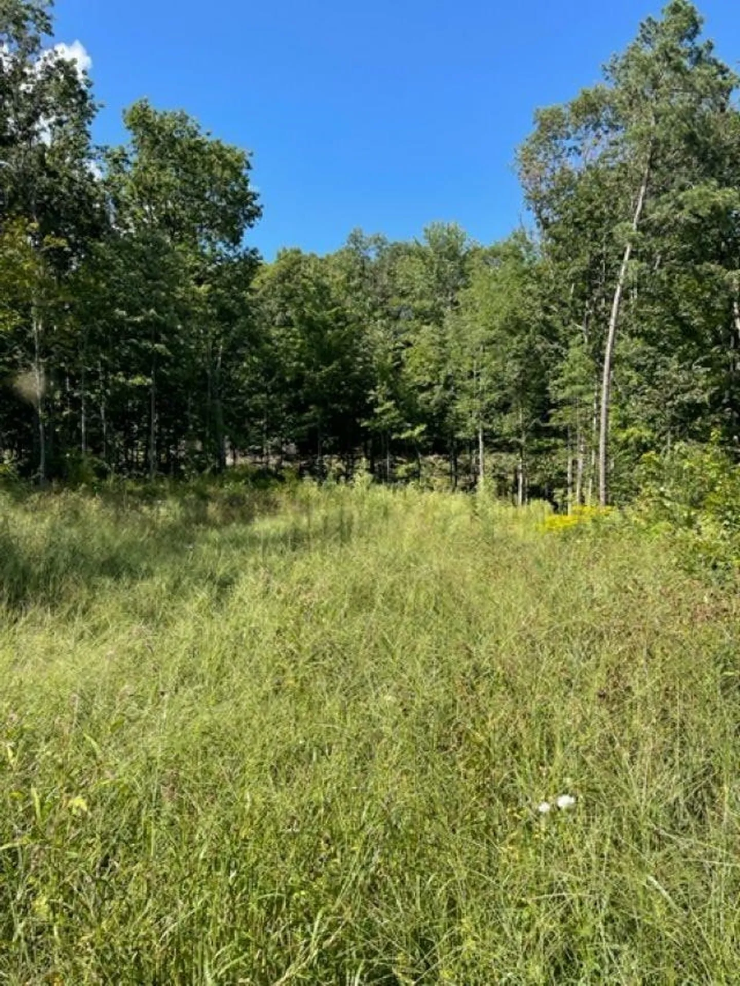 Lot 3 Valleyview Drive Essex VT 05452