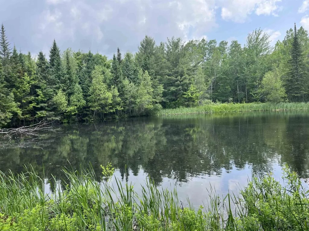 00 Guyette Road Lowell VT 05872