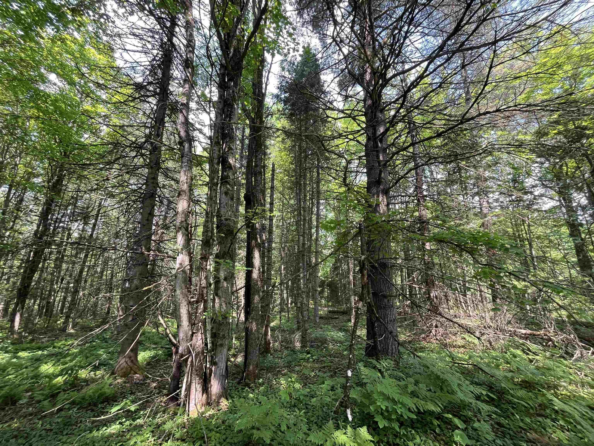 00 Guyette Road Lowell VT 05872