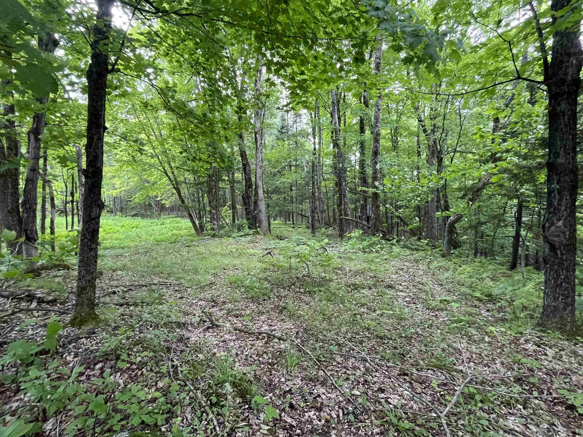 00 Guyette Road Lowell VT 05872