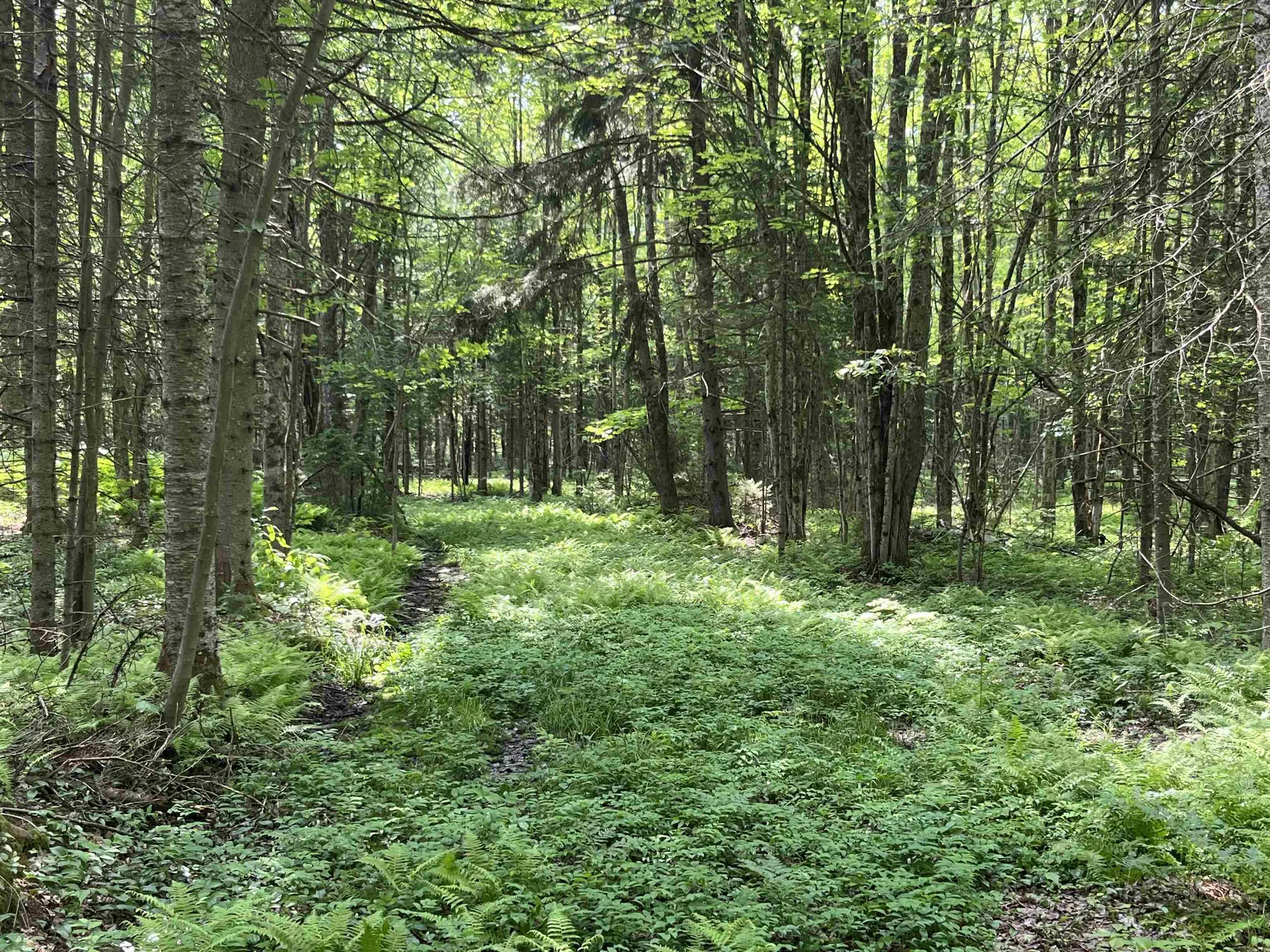 00 Guyette Road Lowell VT 05872