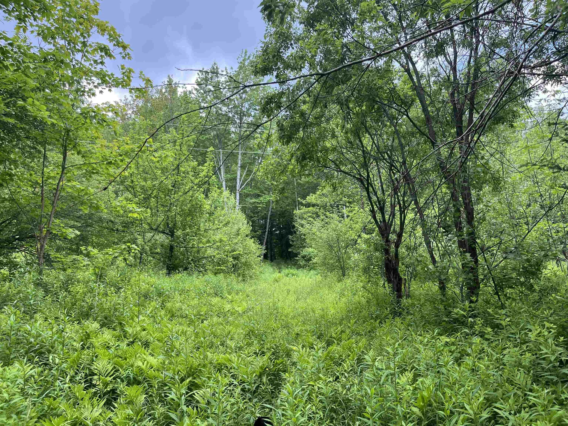 00 Guyette Road Lowell VT 05872