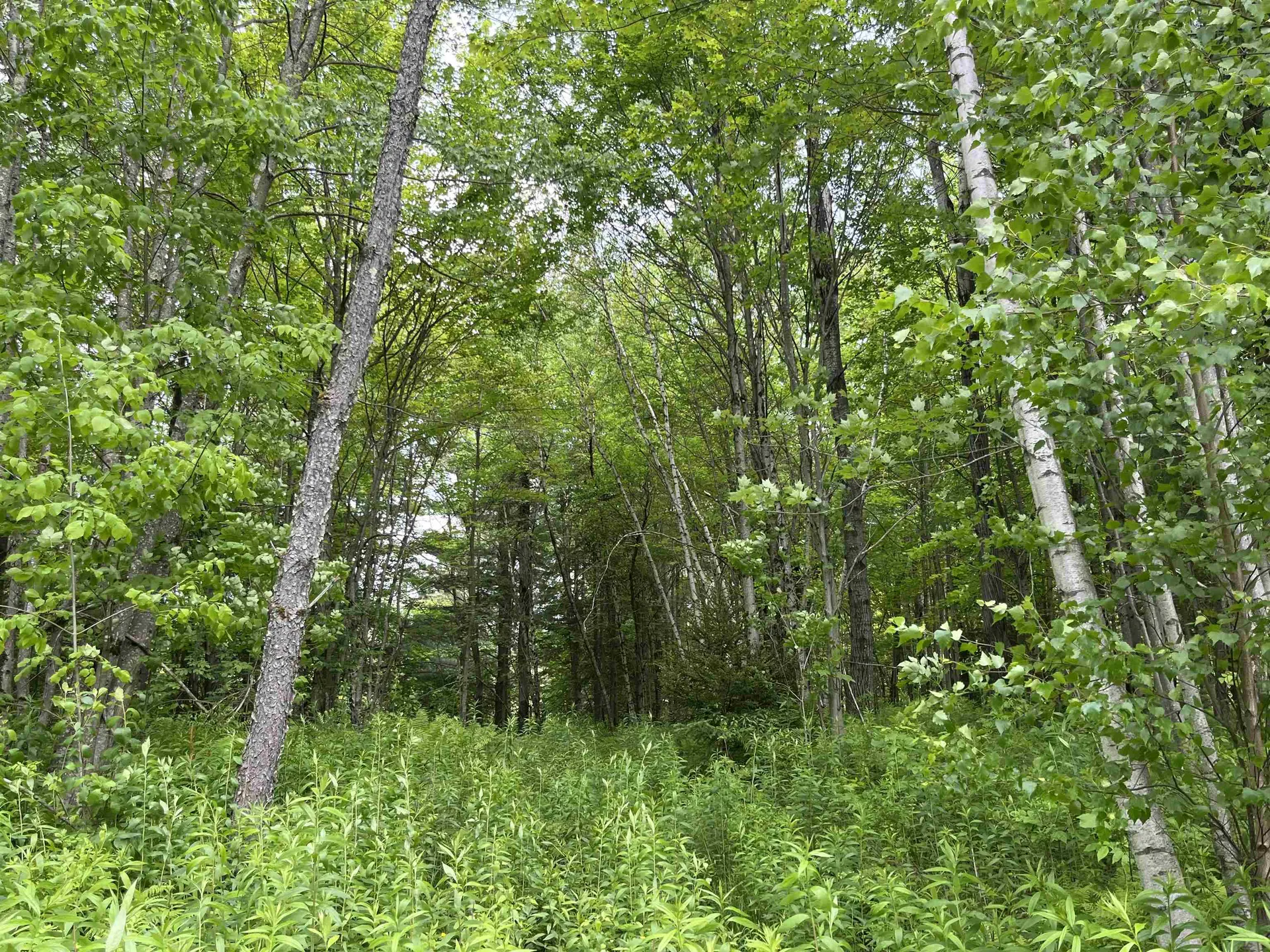 00 Guyette Road Lowell VT 05872