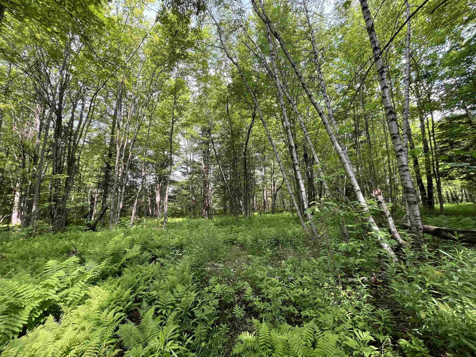 00 Guyette Road Lowell VT 05872