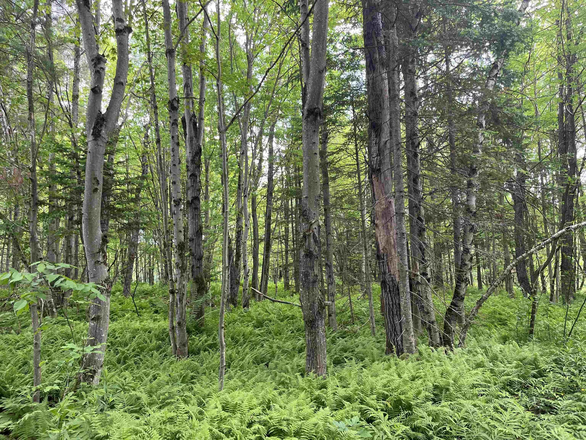 00 Guyette Road Lowell VT 05872