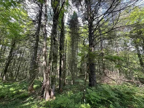 00 Guyette Road Lowell VT 05872