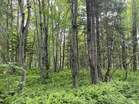 00 Guyette Road Lowell VT 05872