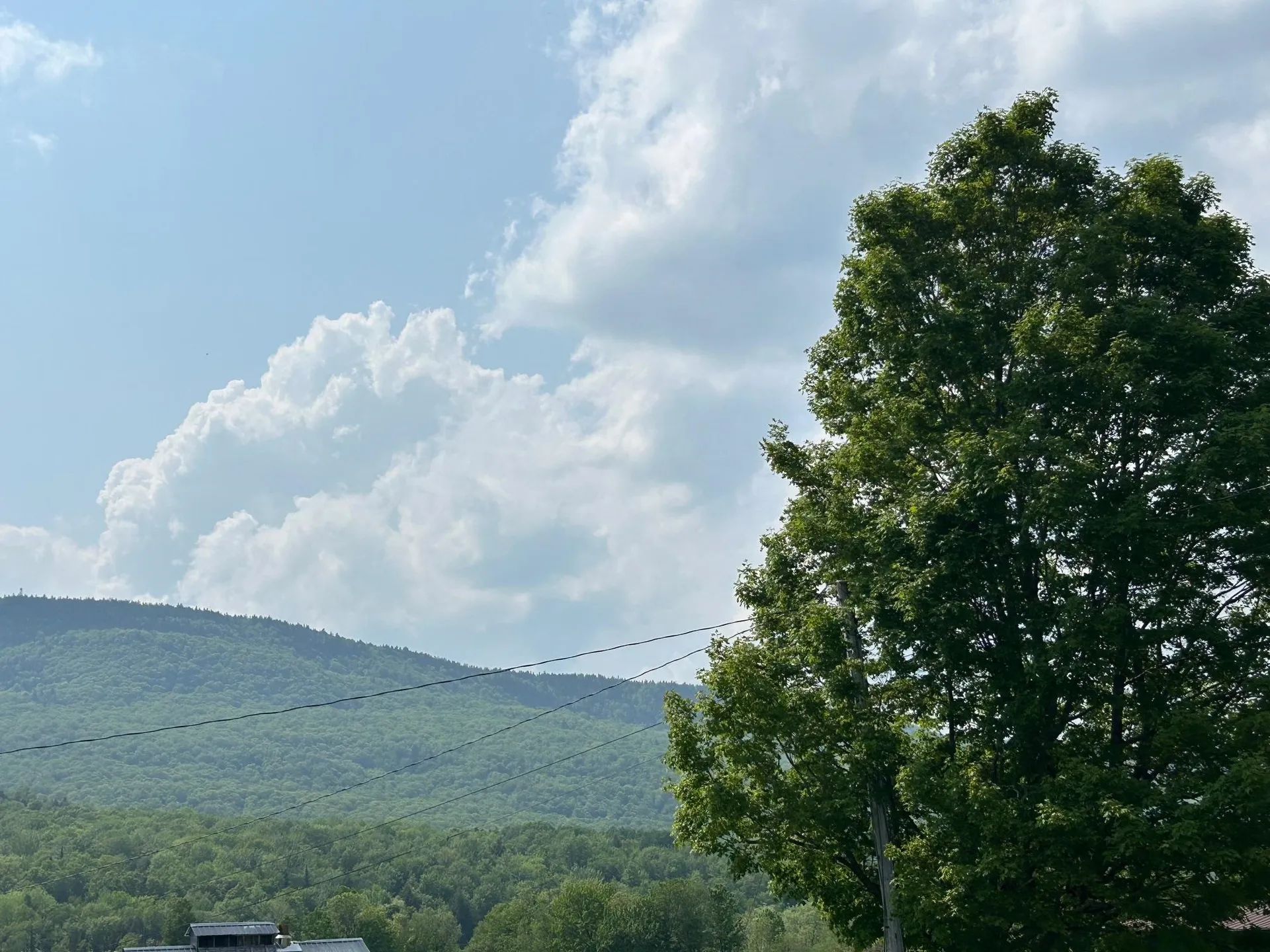 10 Draper Farm Road Elmore VT 05657