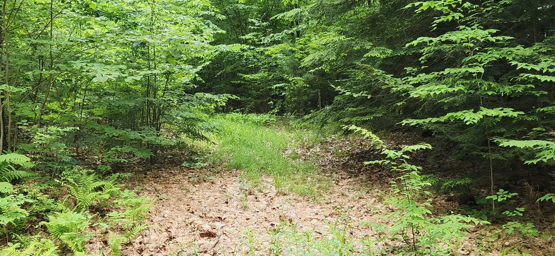 0 Oliver Hill Road Swanzey NH 03446