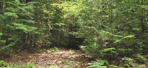 0 Oliver Hill Road Swanzey NH 03446