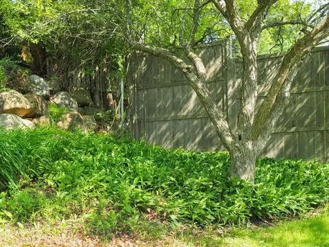23 Iris Lane South Burlington VT 05403