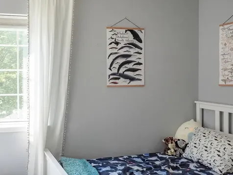 23 Iris Lane South Burlington VT 05403