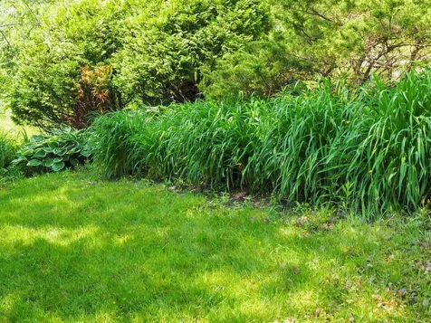 23 Iris Lane South Burlington VT 05403
