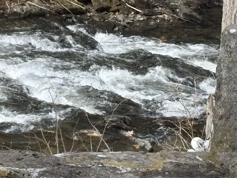 85 Dartmouth College Highway Lyme NH 03768