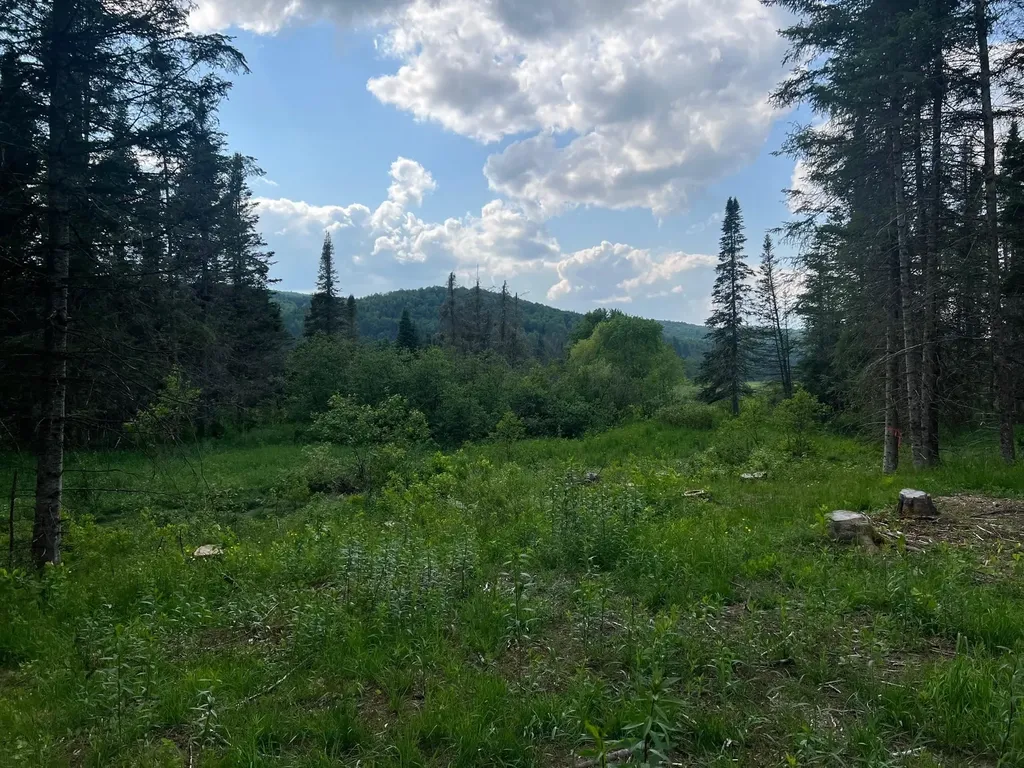 - Indian Stream Road Pittsburg NH 03592