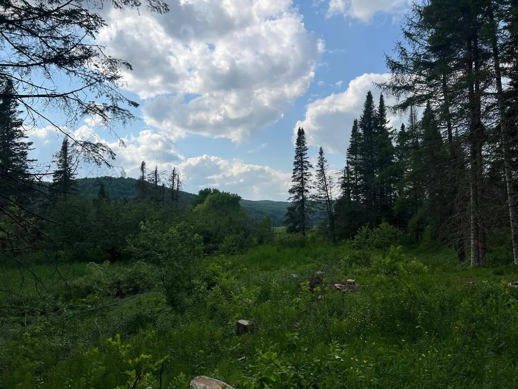 - Indian Stream Road Pittsburg NH 03592