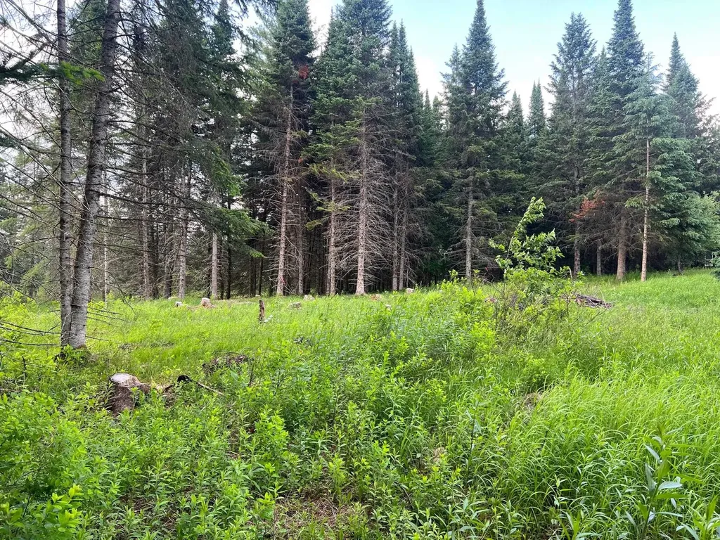 - Indian Stream Road Pittsburg NH 03592