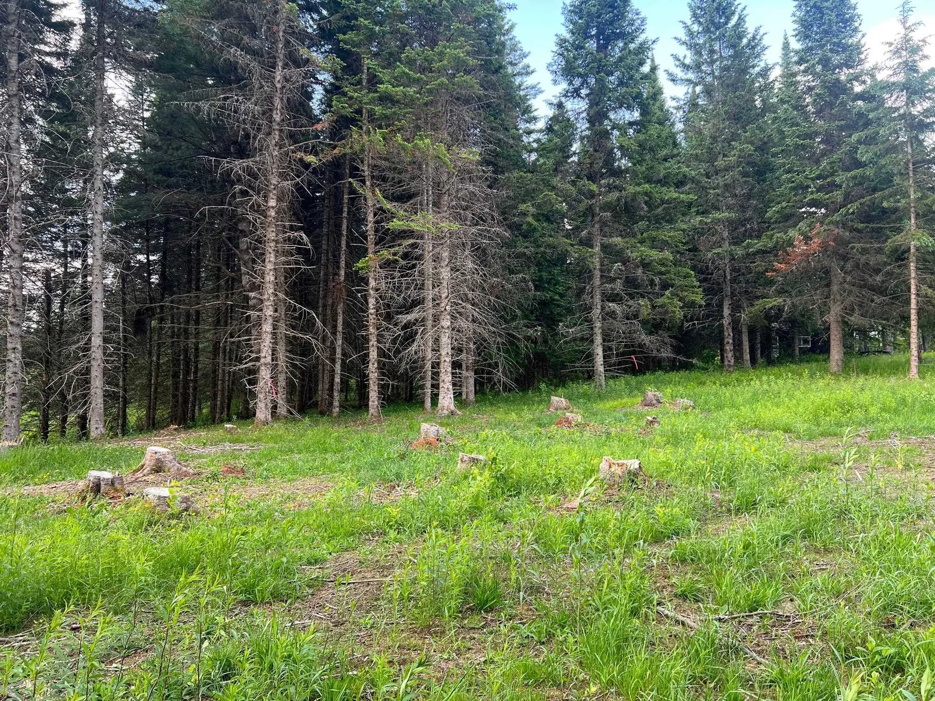 - Indian Stream Road Pittsburg NH 03592