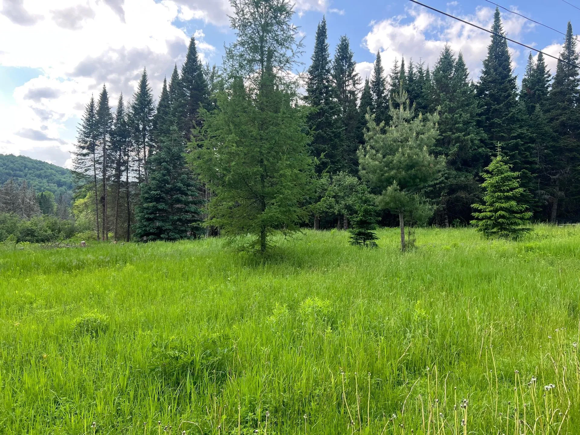 - Indian Stream Road Pittsburg NH 03592