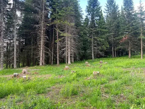 - Indian Stream Road Pittsburg NH 03592