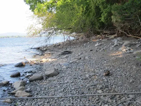 3125 Butler Island East North Hero VT 05474