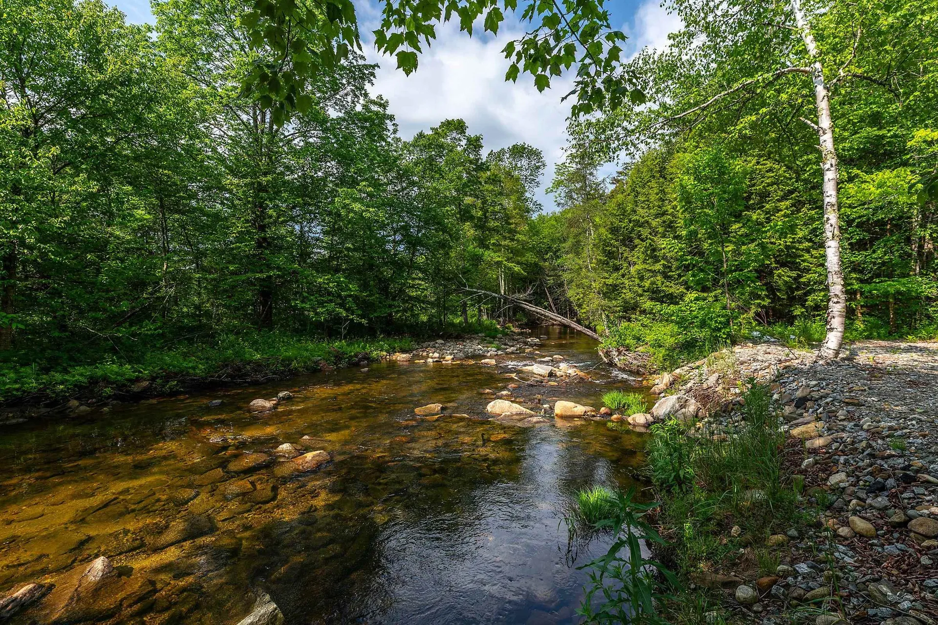 1166 Route 100 Weston VT 05161