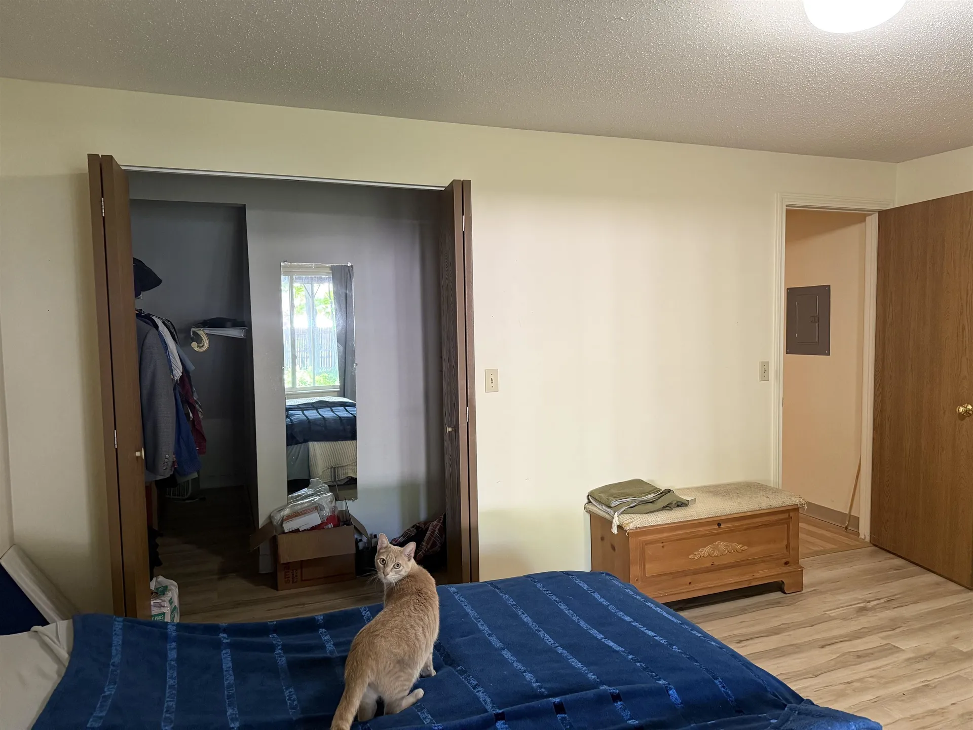 116 Morningside Commons Brattleboro VT 05301