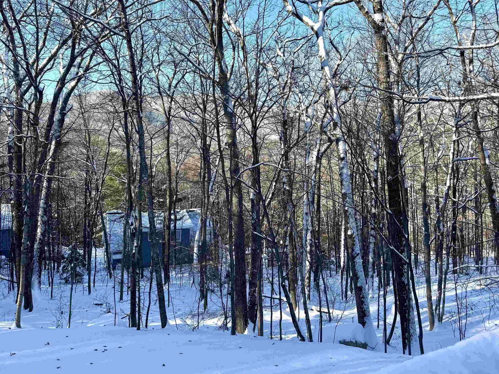 262 Beechnut Drive Conway NH 03860