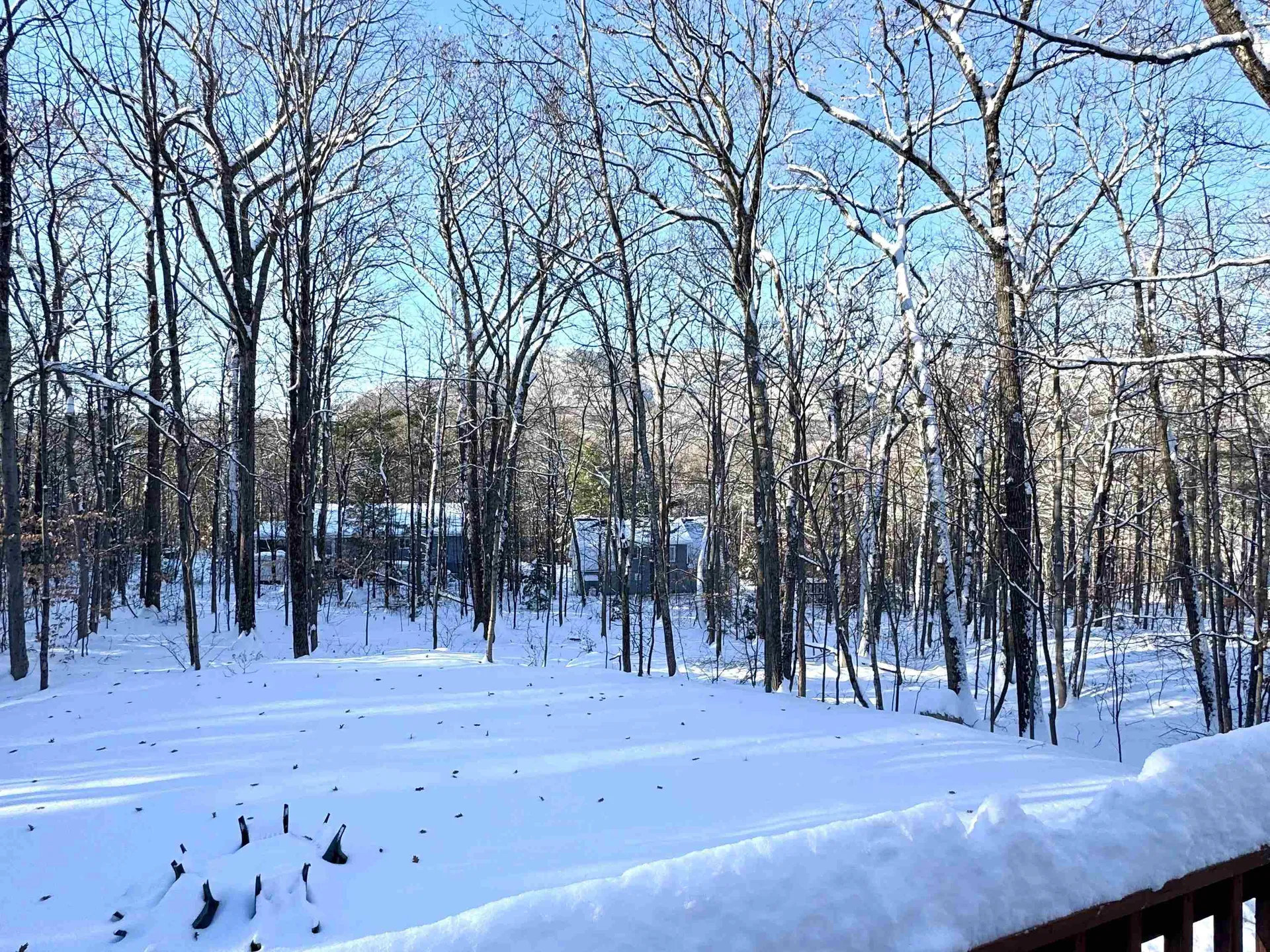 262 Beechnut Drive Conway NH 03860