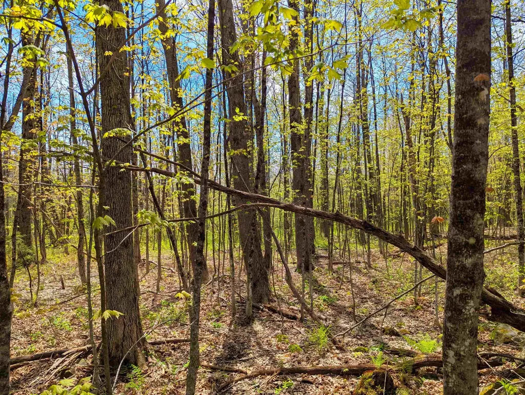 4 Antler Loop Dover VT 05356