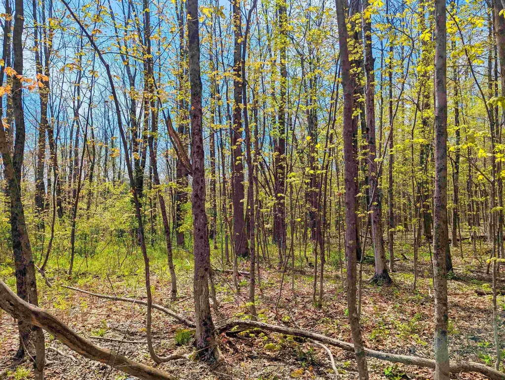 4 Antler Loop Dover VT 05356