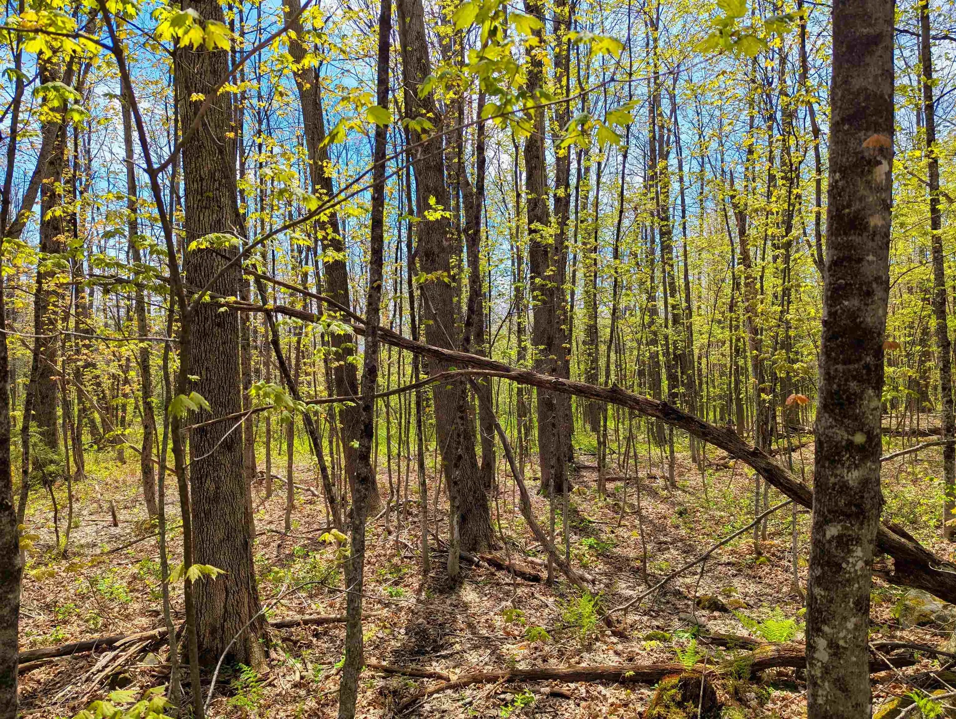 4 Antler Loop Dover VT 05356