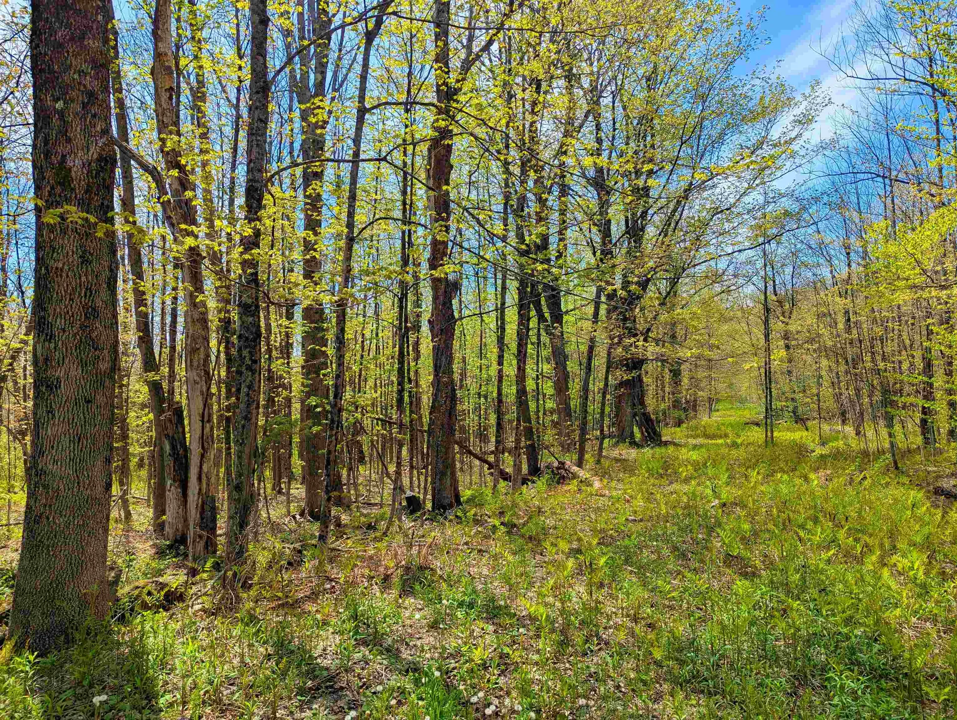 4 Antler Loop Dover VT 05356