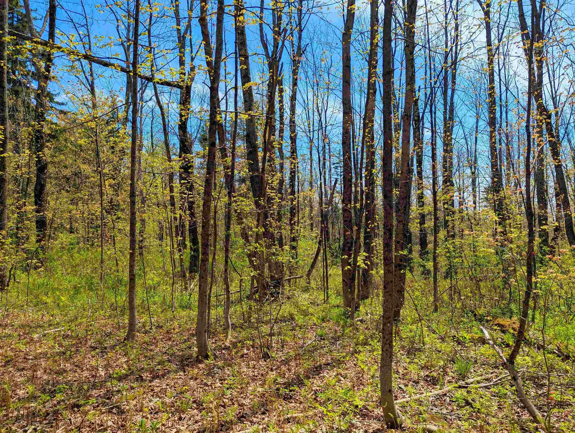 4 Antler Loop Dover VT 05356