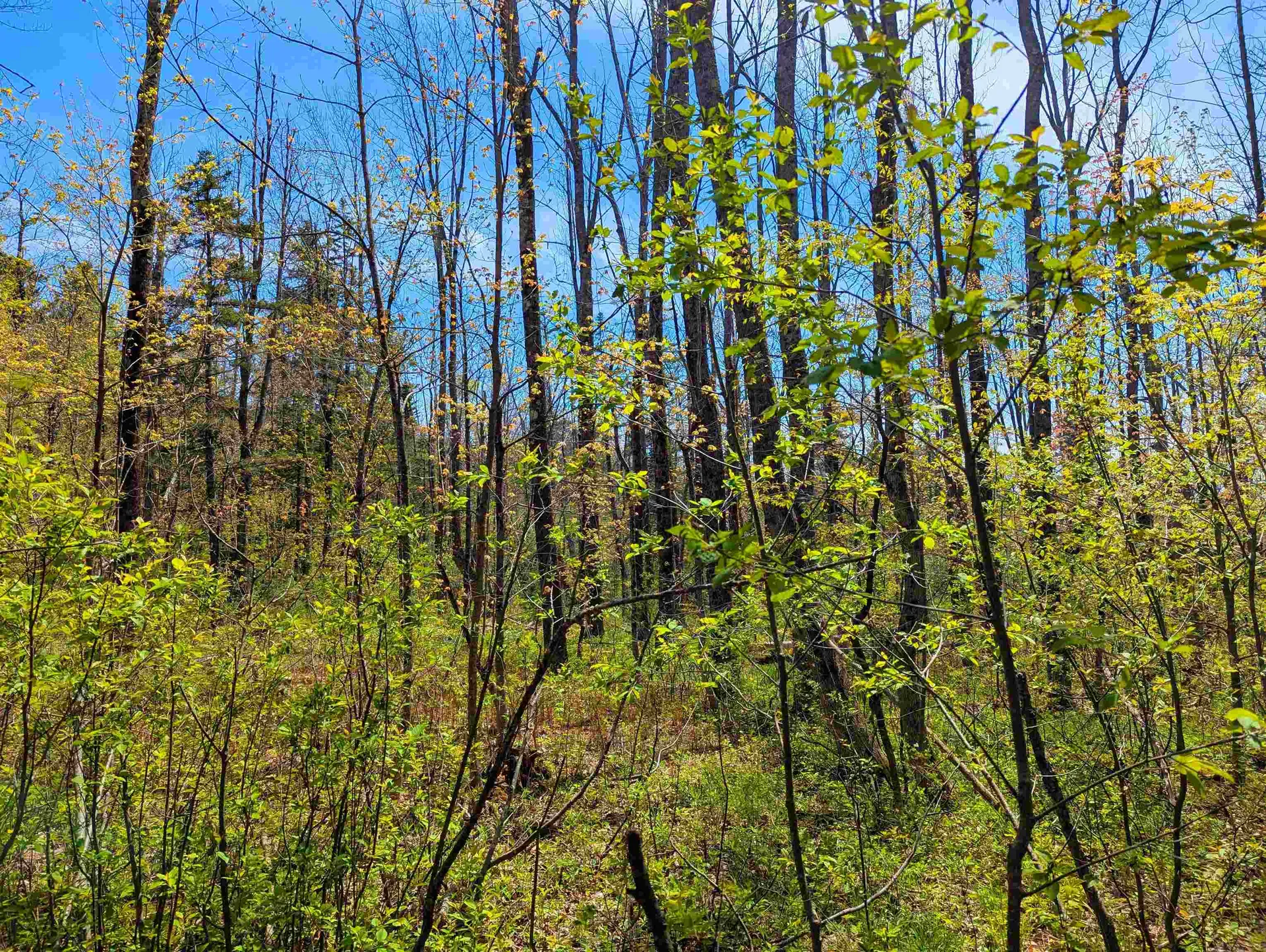 4 Antler Loop Dover VT 05356