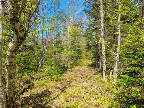 4 Antler Loop Dover VT 05356