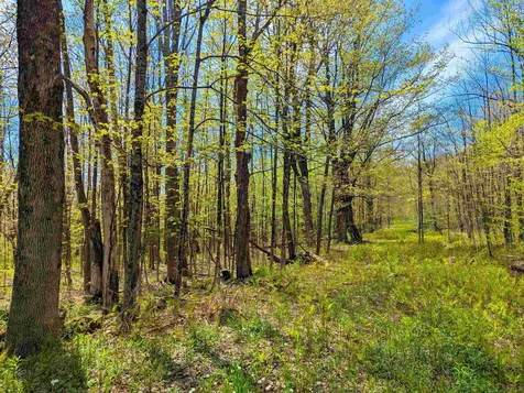 4 Antler Loop Dover VT 05356