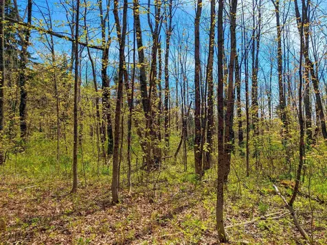 4 Antler Loop Dover VT 05356