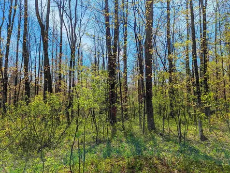 4 Antler Loop Dover VT 05356